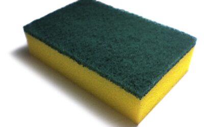 Science by a Scientist: Germy Sponges
