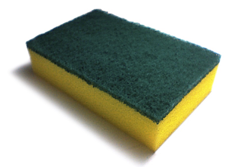 Science by a Scientist: Germy Sponges