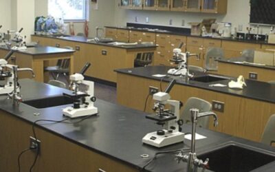 Teaching Tales: The First Lab