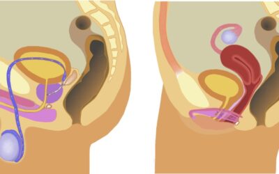 Teaching Tales: Sex and More