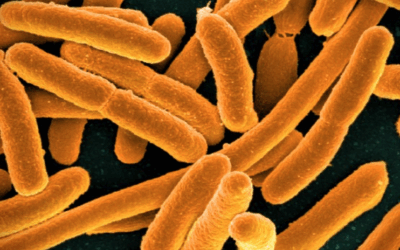 Teaching Tales: Exploding Germs