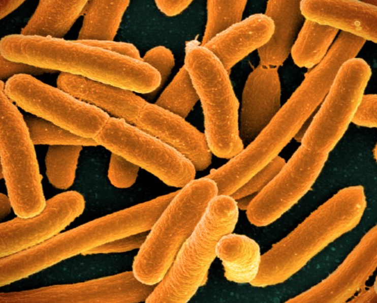 Teaching Tales: Exploding Germs